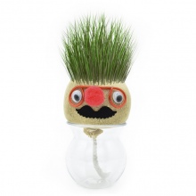Набор для выращивания Grow Grass man Травянчик экокуб UFT GG01