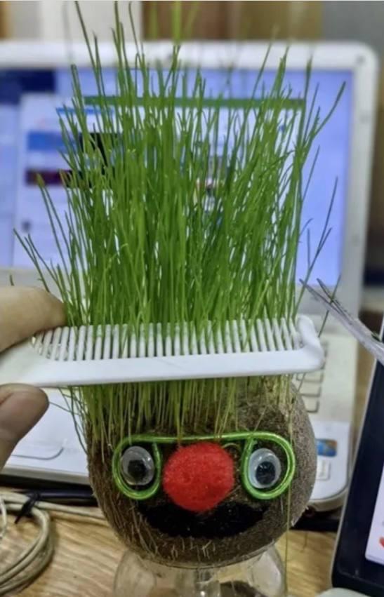 Набор для выращивания Grow Grass man Травянчик экокуб UFT GG01