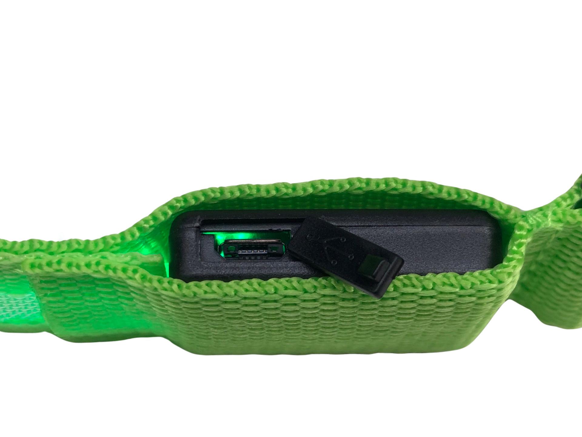 Ошейник с подсветкой для собак L с аккумулятором UFT PET LED 2 Green