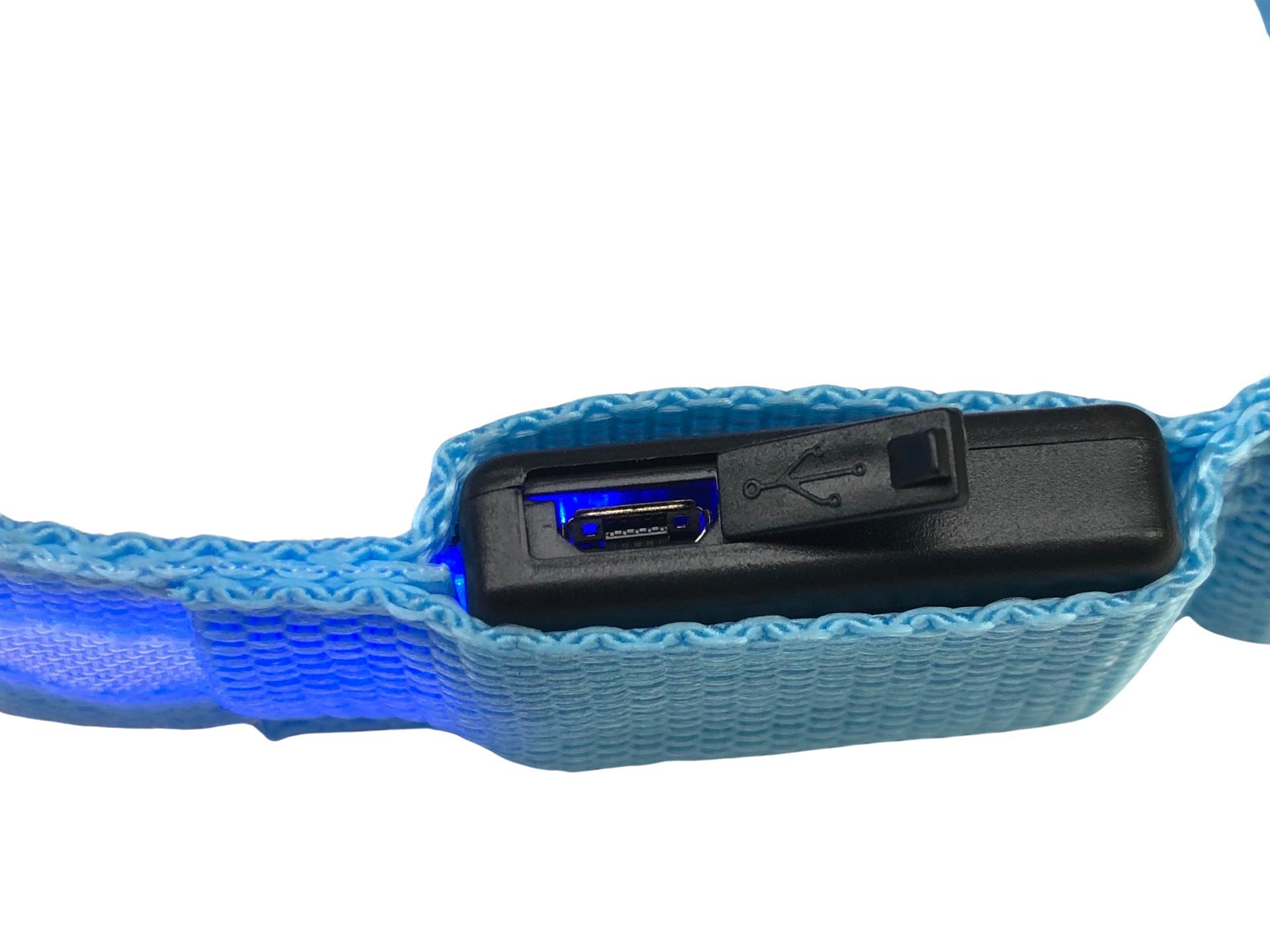 Фото 1 Ошейник с подсветкой для собак S с аккумулятором UFT PET LED 2 Blue