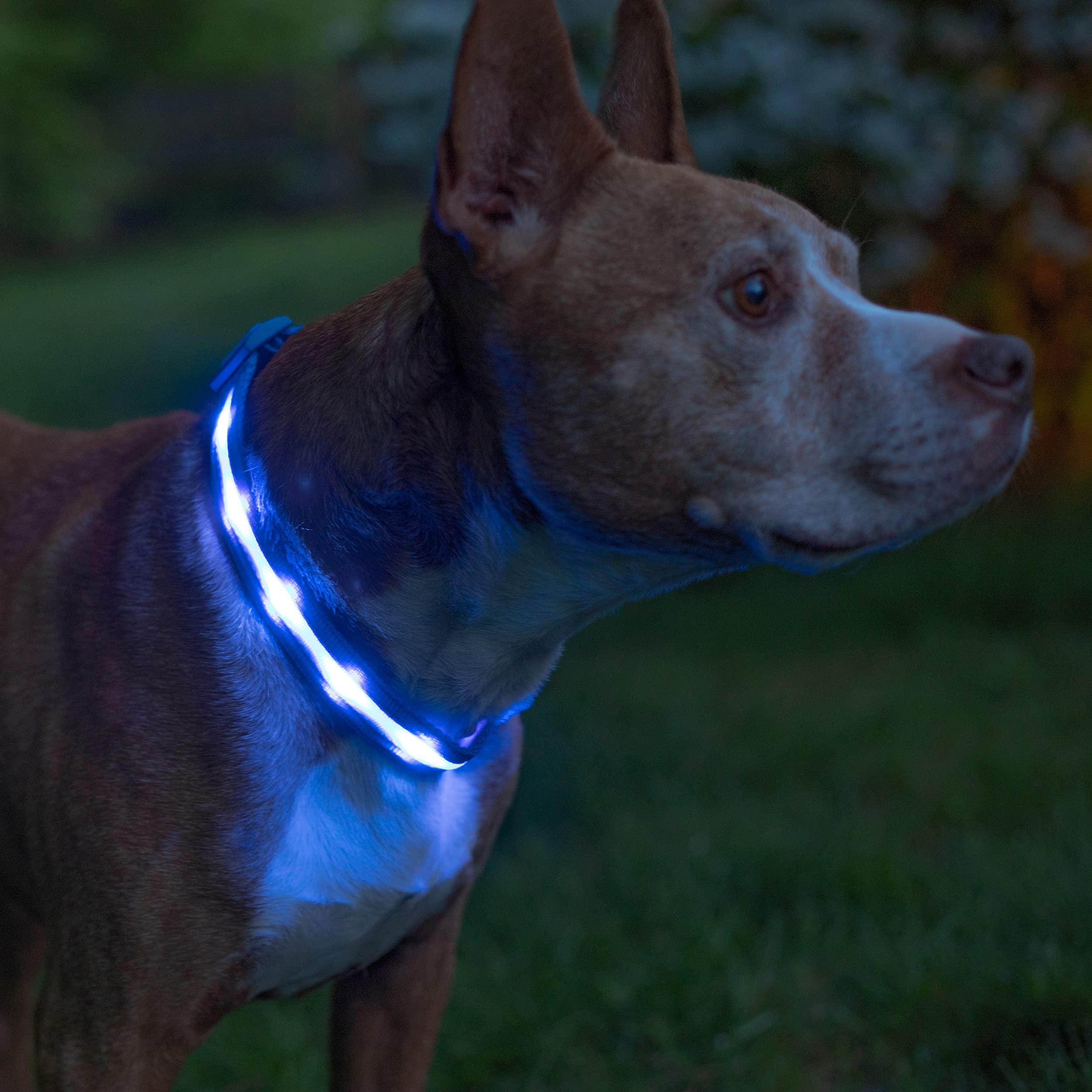 Фото 2 Ошейник с подсветкой для собак M на батарейках UFT PET LED 1 Blue