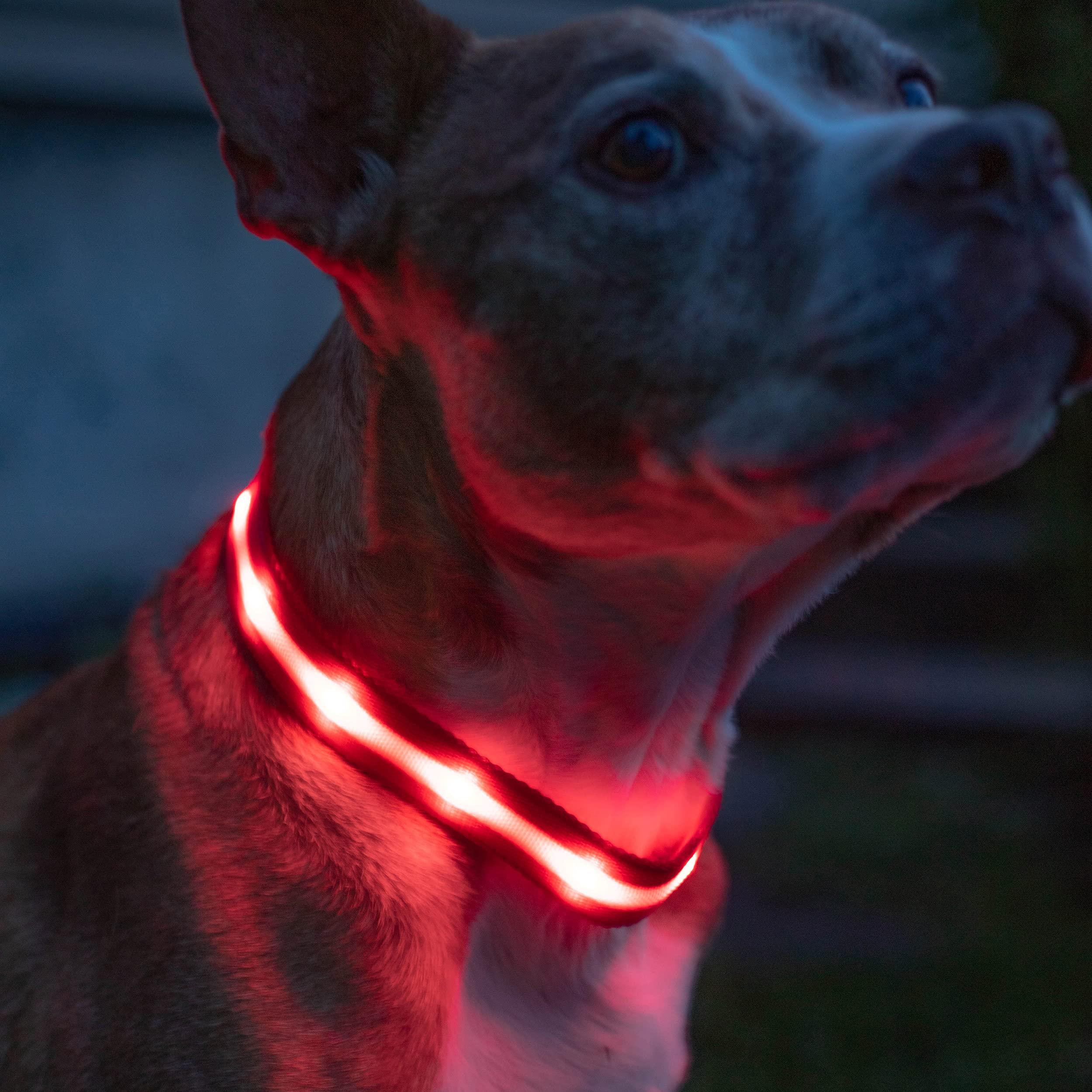 Фото 2 Ошейник с подсветкой для собак L на батарейках UFT PET LED 1 Red