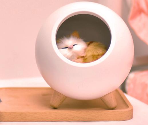 Фото 1 Ночник Спящий кот в домике с сенсорной кнопкой CG SCH01 Pink