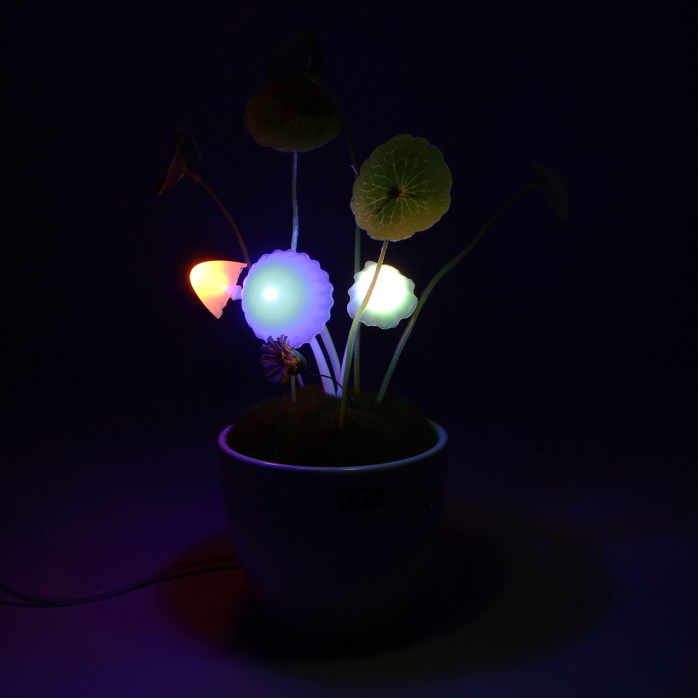 Фото 1 Светильник Ночник с индикатором темноты Avatar  Magic Flowers